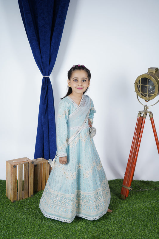 Sky Blue Embroidery Anarkali