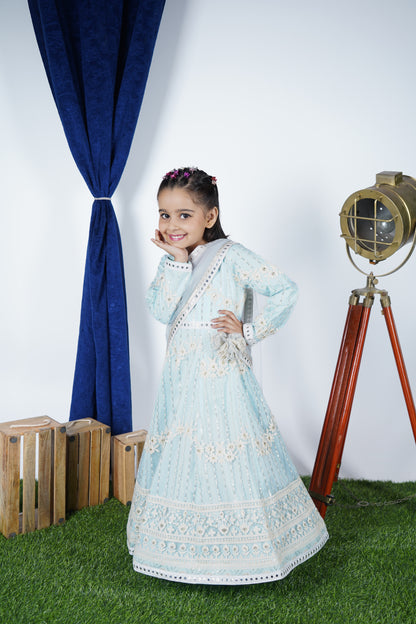 Sky Blue Embroidery Anarkali