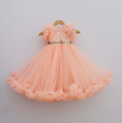 Peach Net Gown