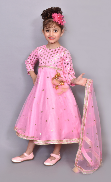 Pink aqua mirror Anarkali