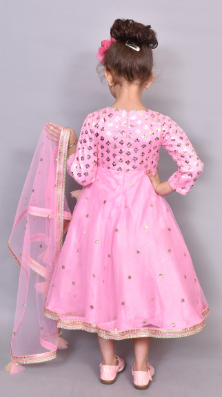 Pink aqua mirror Anarkali