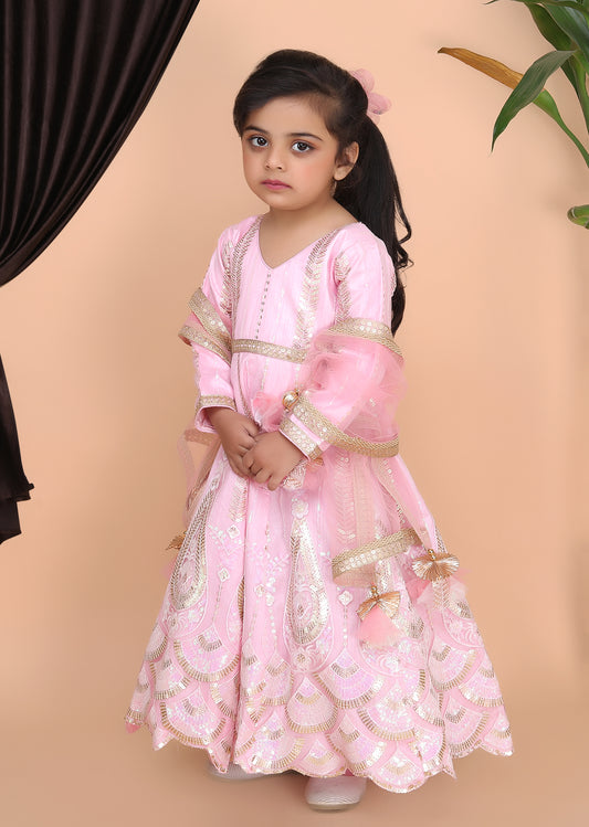 Pink Embroidery Anarkali