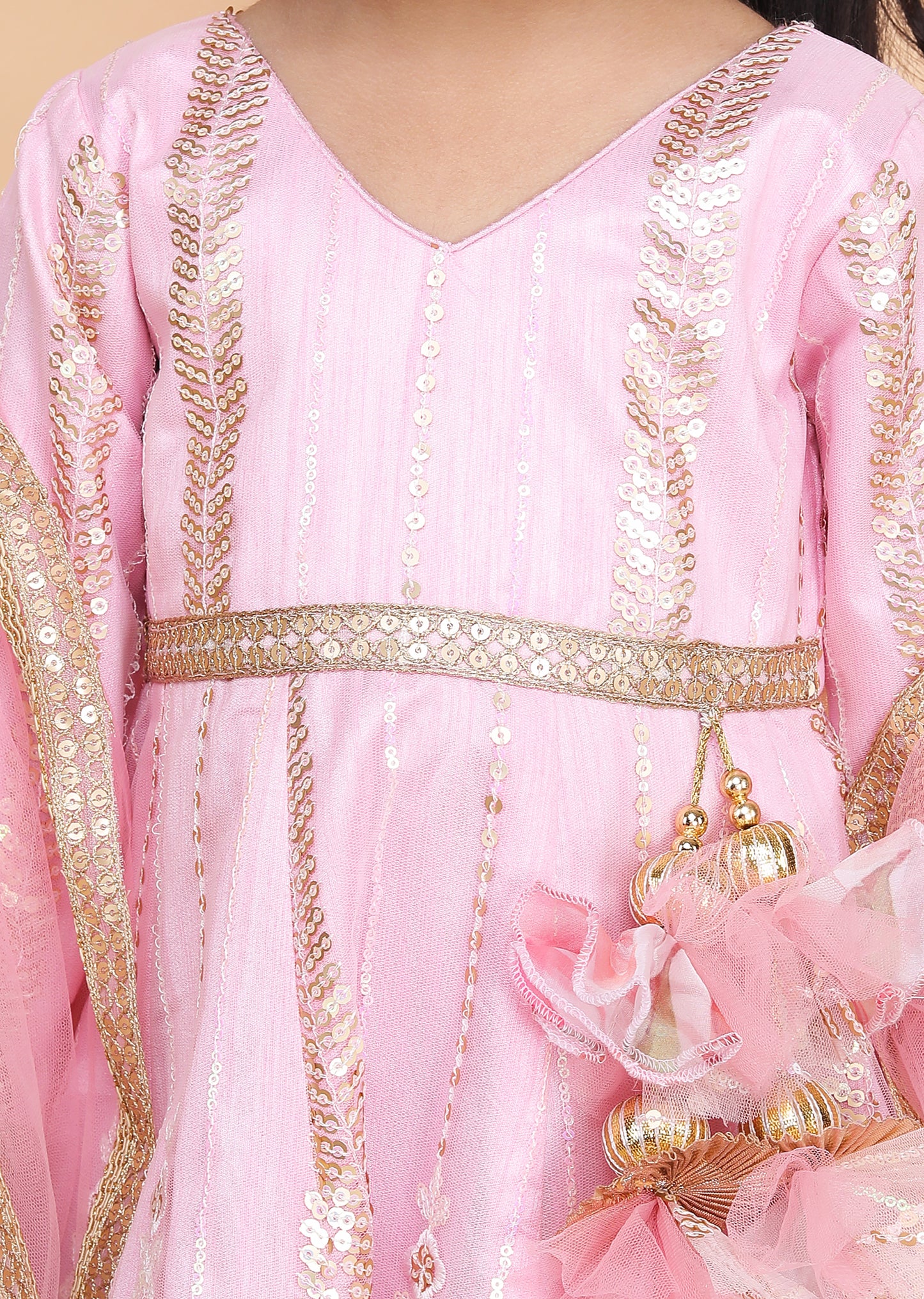 Pink Embroidery Anarkali