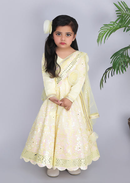 Yellow Embroidery Anarkali