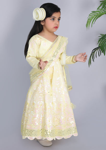 Yellow Embroidery Anarkali