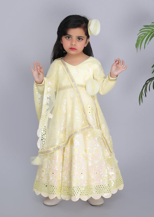 Yellow Embroidery Anarkali