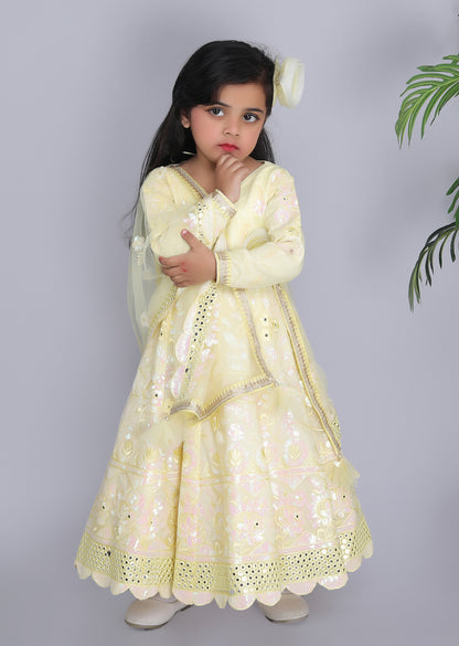 Yellow Embroidery Anarkali