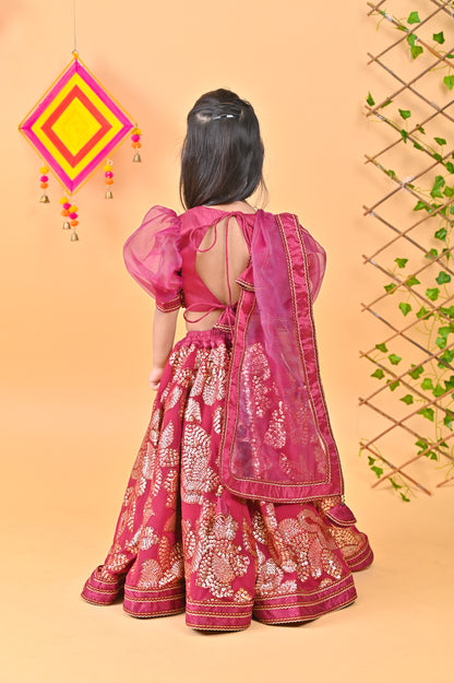 Wine Embroidery Lehenga With Choli