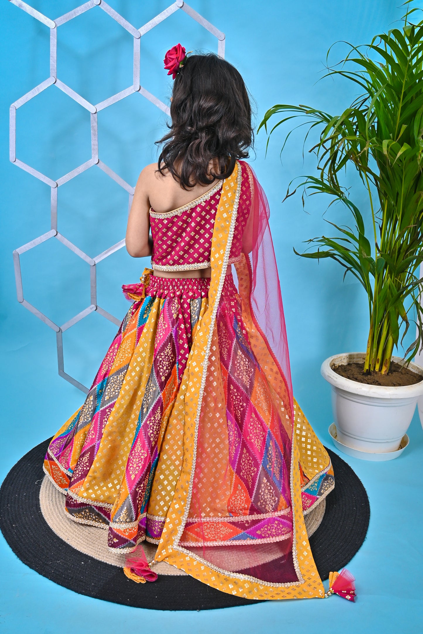 Multicolour Lehnga Pink Choli