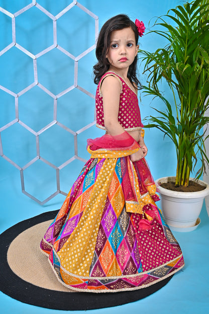 Multicolour Lehnga Pink Choli