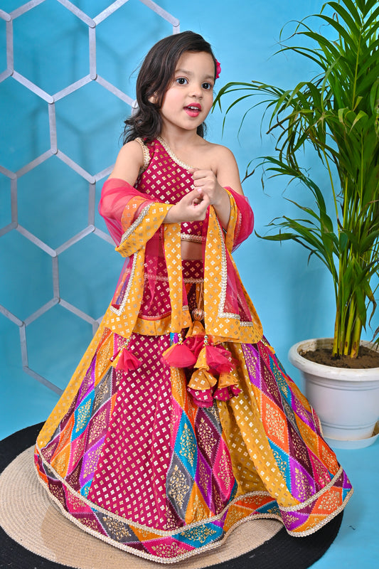 Multicolour Lehnga Pink Choli