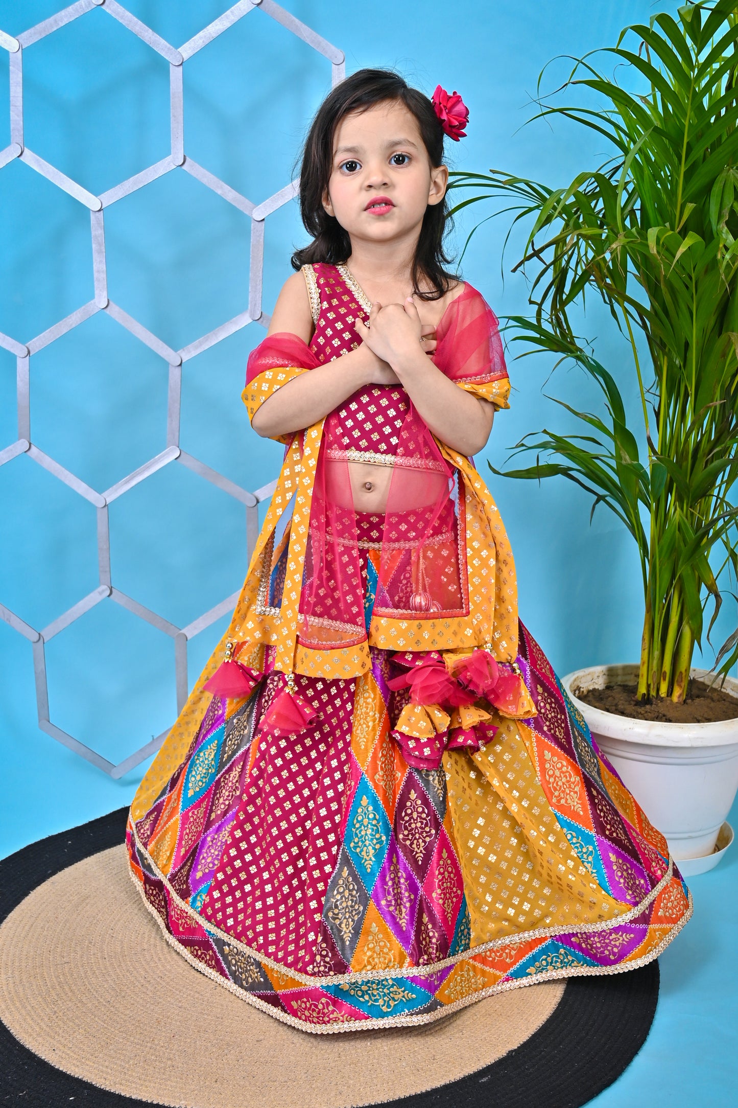 Multicolour Lehnga Pink Choli