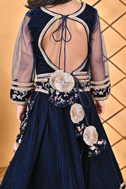 Blue Lehnga Choli