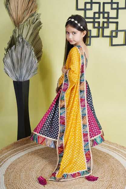 Multicolour Lehnga Choli