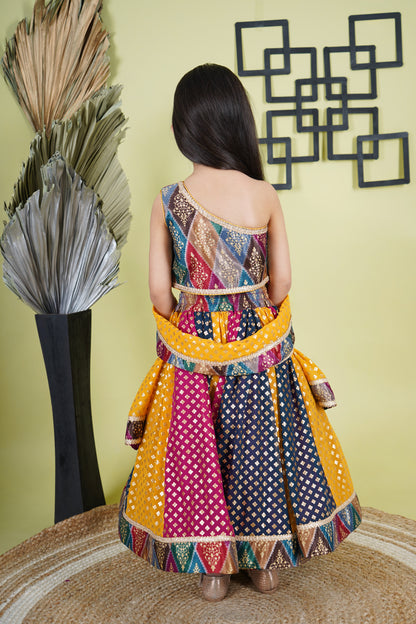 Multicolour Lehnga Choli