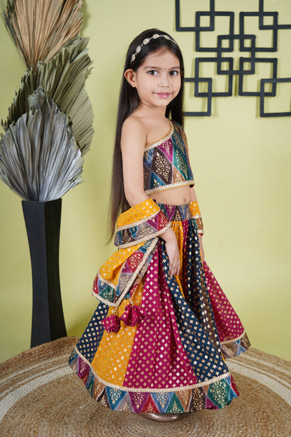 Multicolour Lehnga Choli