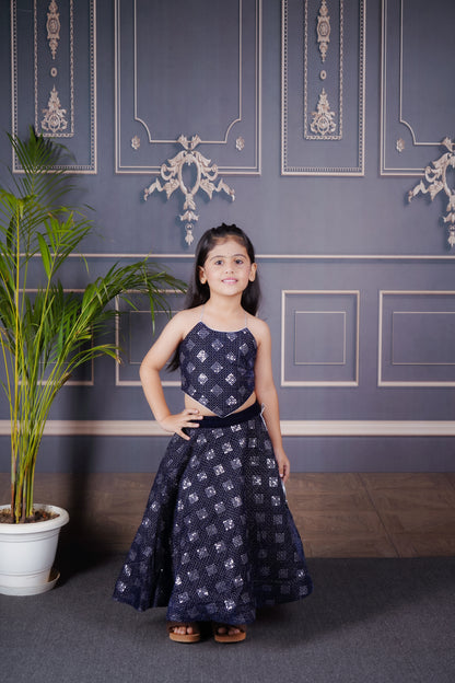 Blue velvet Lengha Choli