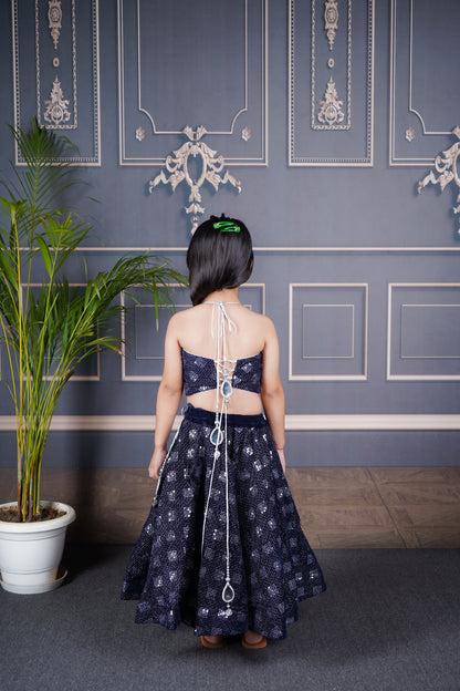 Blue velvet Lengha Choli