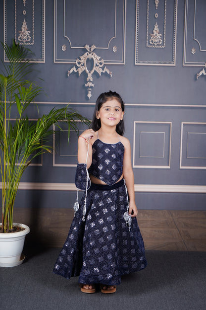 Blue velvet Lengha Choli